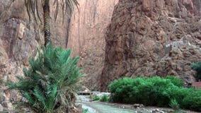 Todgha Gorge, a canyon in the High Atlas Mountains in Morocco royalty free stock photography Todgha Gorge, a canyon in the High Atlas Mountains in Morocco royalty free stock photography