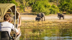 Toeristen op Olifant Safari Africa royalty-vrije stock afbeeldingen Toeristen op Olifant Safari Africa royalty-vrije stock afbeeldingen