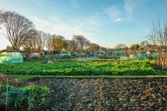 Toewijzingsperceel, zijaanzicht met groene netwerkglazen kap royalty-vrije stock afbeelding Toewijzingsperceel, zijaanzicht met groene netwerkglazen kap royalty-vrije stock afbeelding