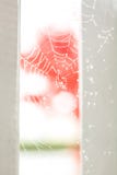 Toile d'araignée avec des gouttelettes image stock Toile d'araignée avec des gouttelettes image stock