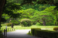 Tokyo, Giappone - 22 luglio 2017 fotografia stock libera da diritti Tokyo, Giappone - 22 luglio 2017 fotografia stock libera da diritti