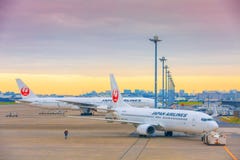 TOKYO, GIAPPONE - 26 NOVEMBRE 2018 Aereo del JAL o di Japan Airlines all'aeroporto internazionale di Haneda Di mattina cielo gial fotografia stock libera da diritti TOKYO, GIAPPONE - 26 NOVEMBRE 2018 Aereo del JAL o di Japan Airlines all'aeroporto internazionale di Haneda Di mattina cielo gial fotografia stock libera da diritti