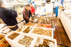 Tokyo Japan - Januari 15, 2010: De första kunderna köper den nya fisken på ottan i Tsukiji fiskmarknad royaltyfria bilder Tokyo Japan - Januari 15, 2010: De första kunderna köper den nya fisken på ottan i Tsukiji fiskmarknad royaltyfria bilder