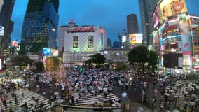 Tokyo, Japan - Juni 20, 2018: De video van de tijdtijdspanne van mensen met paraplu's kruist de beroemde diagonale kruising in Sh Tokyo, Japan - Juni 20, 2018: De video van de tijdtijdspanne van mensen met paraplu's kruist de beroemde diagonale kruising in Sh