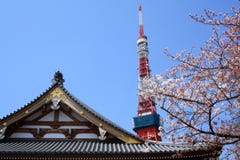 Tokyo Japan Park with the Tokyo Tower in the background Stock Image Tokyo Japan Park with the Tokyo Tower in the background Stock Image