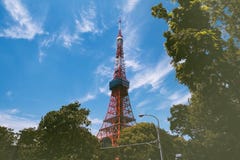 Tokyo tower and green leaf background royalty free stock image Tokyo tower and green leaf background royalty free stock image