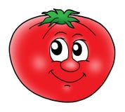 Graine de tomate Graine de tomate