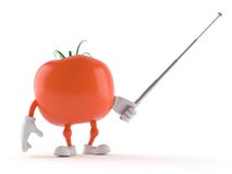 Tomatenkarakter met het richten van stok vector illustratie Tomatenkarakter met het richten van stok vector illustratie