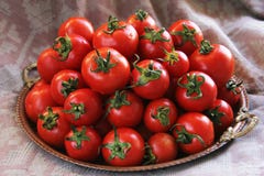 Tomates foto de archivo libre de regalías Tomates foto de archivo libre de regalías