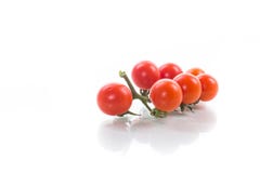 Tomates de cereja vermelhos maduros pequenos em um ramo Imagem de Stock Royalty Free Tomates de cereja vermelhos maduros pequenos em um ramo Imagem de Stock Royalty Free