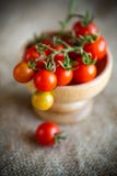 Tomates de cereja vermelhos maduros pequenos em uma bacia de madeira Fotografia de Stock Royalty Free Tomates de cereja vermelhos maduros pequenos em uma bacia de madeira Fotografia de Stock Royalty Free