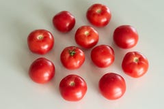 Tomates fraîches sur une table en verre blanche Moisson des tomates Vue sup?rieure photographie stock libre de droits Tomates fraîches sur une table en verre blanche Moisson des tomates Vue sup?rieure photographie stock libre de droits