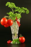 Tomates, pasa, perejil Fotografía de archivo Tomates, pasa, perejil Fotografía de archivo