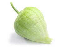 Tomatillo Physalisphiladelphica, banor arkivfoton Tomatillo Physalisphiladelphica, banor arkivfoton