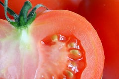 Tomato Royalty Free Stock Photos