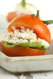 Tomato And White Cheese Royalty Free Stock Image