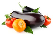 Tomato and eggplant vegetable fruits isolated