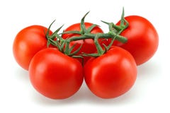 Tomato Group