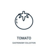 tomato icon vector from gastronomy collection collection. Thin line tomato outline icon vector illustration stock illustration tomato icon vector from gastronomy collection collection. Thin line tomato outline icon vector illustration stock illustration