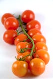 Tomatoes Royalty Free Stock Image
