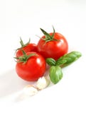 Tomatoes, Basil And Garlic Royalty Free Stock Images Tomatoes, Basil And Garlic Royalty Free Stock Images