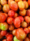 Tomatoes on shelves in supermarket, market stock images Tomatoes on shelves in supermarket, market stock images