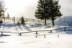 Tonalità dell'inverno Tonalità dell'inverno