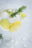 Tonisches Cocktail des Alkoholgetränk-Gins mit Zitrone, Kalk, Rosmarin und Eis auf hellem Hintergrund, Kopienraum Gefrorenes Getr lizenzfreie stockbilder Tonisches Cocktail des Alkoholgetränk-Gins mit Zitrone, Kalk, Rosmarin und Eis auf hellem Hintergrund, Kopienraum Gefrorenes Getr lizenzfreie stockbilder