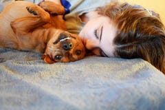 Tonårig flicka som sover på säng och ler hunden arkivbilder Tonårig flicka som sover på säng och ler hunden arkivbilder
