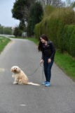 Tonårs- flicka som hundbarnvakt Royaltyfri Foto Tonårs- flicka som hundbarnvakt Royaltyfri Foto