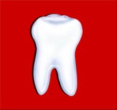 Tooth Stock Photos Tooth Stock Photos