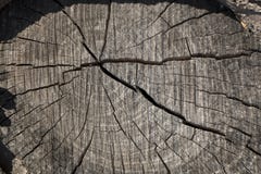 Top de un tocón de madera viejo redondo con las grietas y los anillos de árbol imágenes de archivo libres de regalías Top de un tocón de madera viejo redondo con las grietas y los anillos de árbol imágenes de archivo libres de regalías