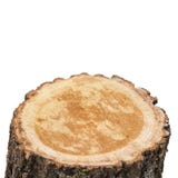 Top Of Stump Log Royalty Free Stock Images Top Of Stump Log Royalty Free Stock Images