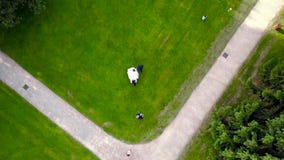 Top view of bride and groom walking on green lawn. Action. Wedding walk on green summer lawn before ceremony of stock video Top view of bride and groom walking on green lawn. Action. Wedding walk on green summer lawn before ceremony of stock video