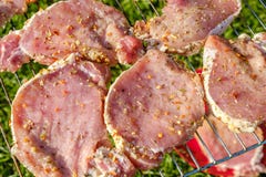 Top view of fresh raw meat and vegetable on grill placed on grass. Royalty Free Stock Photography Top view of fresh raw meat and vegetable on grill placed on grass. Royalty Free Stock Photography