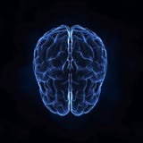 Top view of human brain