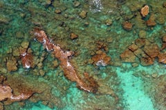 Top view of the sea with corals . top view from drone stock photography Top view of the sea with corals . top view from drone stock photography