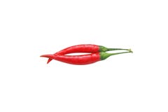 Top view two red chili pepper stock photography Top view two red chili pepper stock photography