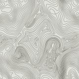 Topographic map background concept with space for your copy. Topography lines art contour , mountain hiking trail stock illustration Topographic map background concept with space for your copy. Topography lines art contour , mountain hiking trail stock illustration