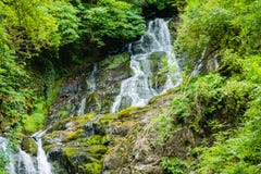 Torc-Wasserfall in Nationalpark Irland Killarneys lizenzfreie stockfotos Torc-Wasserfall in Nationalpark Irland Killarneys lizenzfreie stockfotos