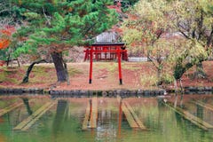 Toriipoort met de herfstesdoorn in Todai -todai-ji in Nara, Japan royalty-vrije stock afbeelding Toriipoort met de herfstesdoorn in Todai -todai-ji in Nara, Japan royalty-vrije stock afbeelding