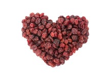 torkad cranberry royaltyfria bilder torkad cranberry royaltyfria bilder