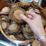 Torkad netto abalone royaltyfri bild Torkad netto abalone royaltyfri bild