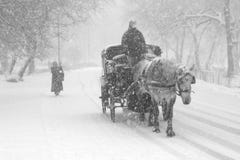 Tormenta de la nieve foto de archivo libre de regalías Tormenta de la nieve foto de archivo libre de regalías