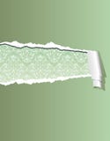 Torn Green Wallpaper Stock Image Torn Green Wallpaper Stock Image