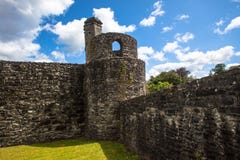 Tornhörn av den slottstrukturBoyle abbeyen Arkivfoto Tornhörn av den slottstrukturBoyle abbeyen Arkivfoto
