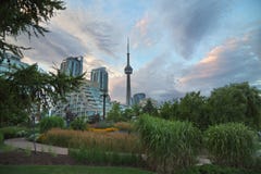 Toronto de stad in stock fotografie Toronto de stad in stock fotografie