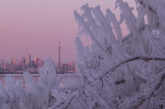 Toronto miasta linia horyzontu podczas zimy Biegunowego Vortex obraz stock Toronto miasta linia horyzontu podczas zimy Biegunowego Vortex obraz stock
