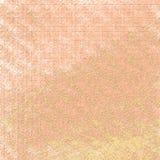 Torr pulverfärgspridning på grungy bakgrund Grova lappar texturerade konstverk vektor illustrationer Torr pulverfärgspridning på grungy bakgrund Grova lappar texturerade konstverk vektor illustrationer