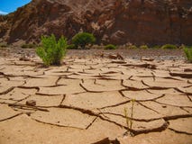 Torr sout Amerika för chile för atacama för jordtexturmodell fotografering för bildbyråer Torr sout Amerika för chile för atacama för jordtexturmodell fotografering för bildbyråer